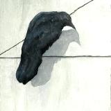 Crow on a Wire