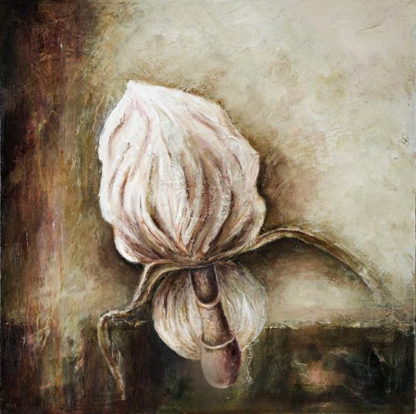 Orchid